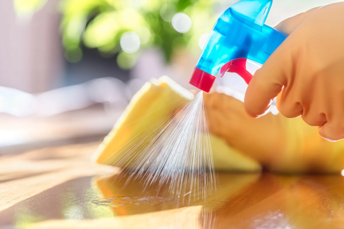 House Keeper Services